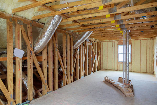 Best Insulation Maintenance and Repair in Ligh, NE